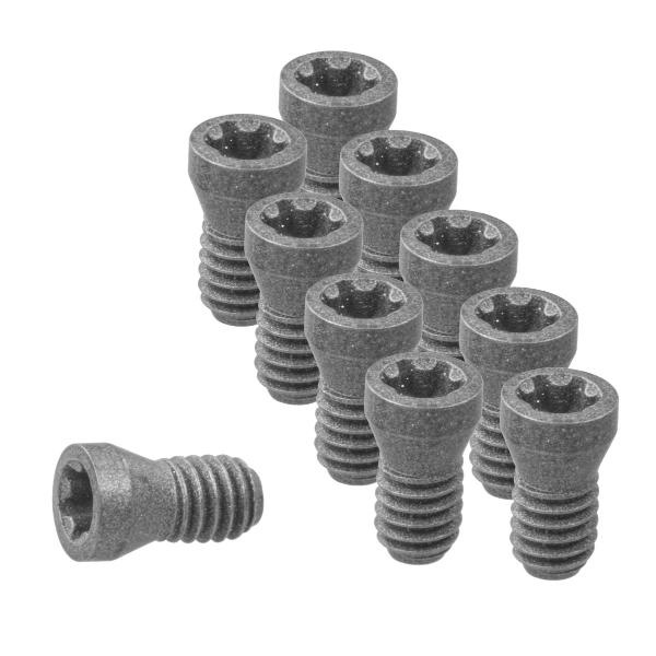 Insert screw 10-piece set