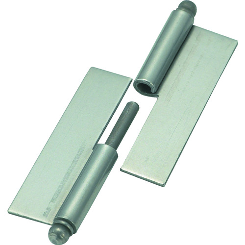 TRUSCO Removable Wending Hinge