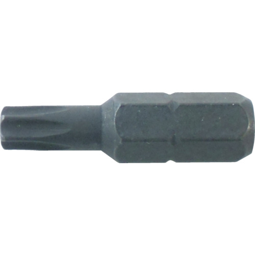 TRUSCO Tools for Tamper Proof Screws