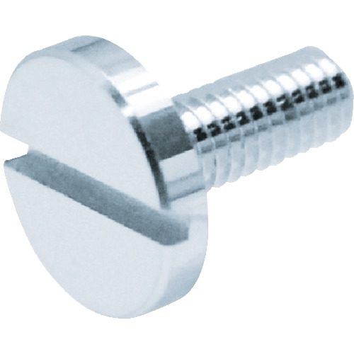 TRUSCO Decorative Cheese Head Screw Slotted Low Head