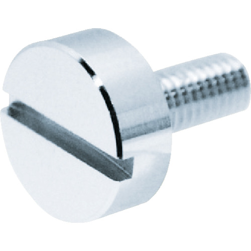 TRUSCO Decorative Cheese Head Screw Slotted