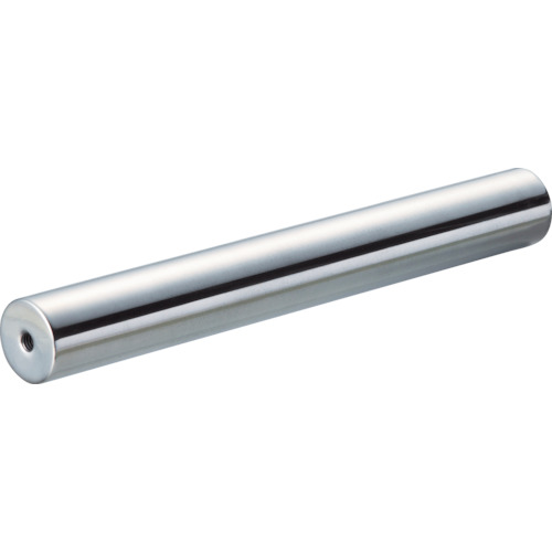TRUSCO Sanitary Magnet Bar