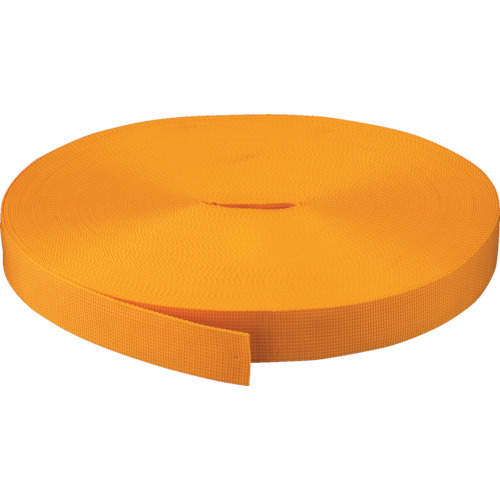 TRUSCO PP Belt