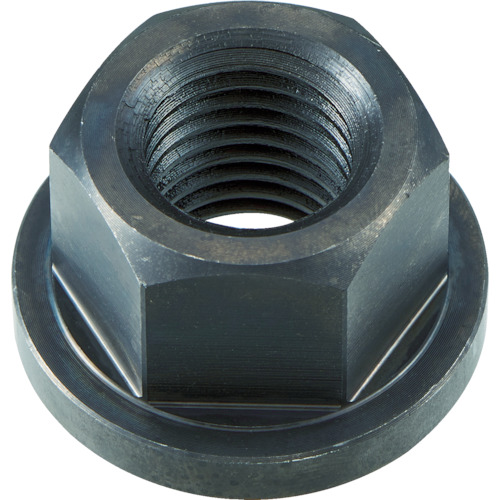TRUSCO Flange Nut