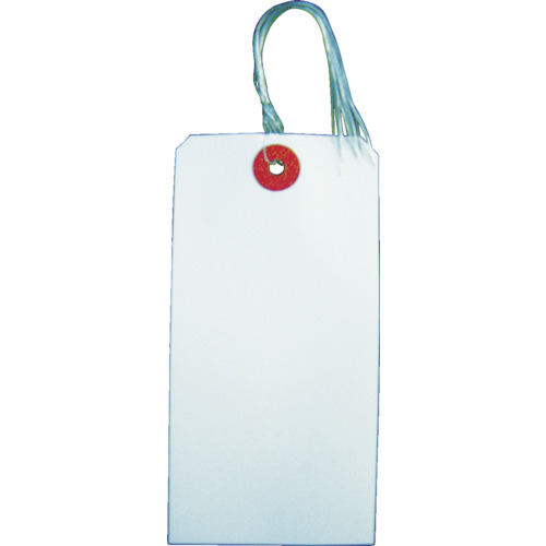 TRUSCO Tag with Wire