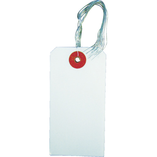 TRUSCO Tag with Wire