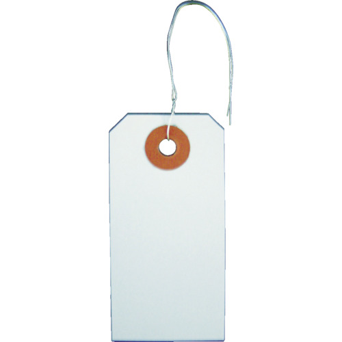 TRUSCO Tag with Wire