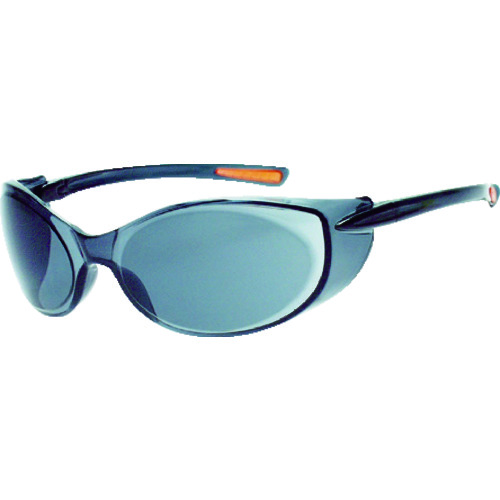 TRUSCO Double Lens Safety Glasses
