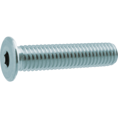 TRUSCO Ultra Low Head SUS Cap Bolt